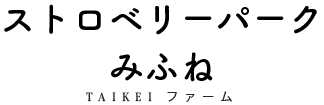 ストロベリーパークみふね