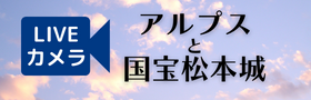 市役所本庁舎　展望ライブカメラ