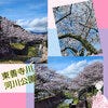 ブログサムネイル