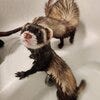 ブログサムネイル