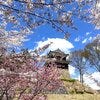 ブログサムネイル