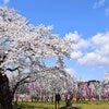 ブログサムネイル