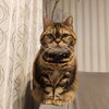 ブログサムネイル