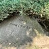ブログサムネイル