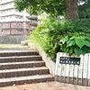 ブログサムネイル