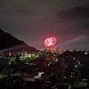 ブログサムネイル