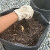 ブログサムネイル