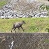 ブログサムネイル