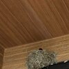 ブログサムネイル