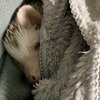 ブログサムネイル