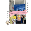ブログサムネイル