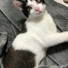 ブログサムネイル