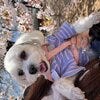 ブログサムネイル
