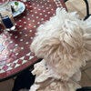 ブログサムネイル