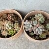 ブログサムネイル