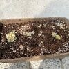 ブログサムネイル