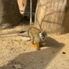 ブログサムネイル