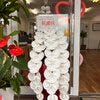 ブログサムネイル