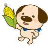 ブログサムネイル
