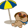 ブログサムネイル