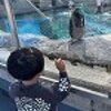 ブログサムネイル