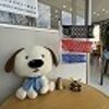 ブログサムネイル