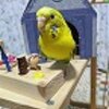 ブログサムネイル