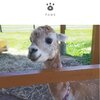 ブログサムネイル