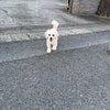 ブログサムネイル