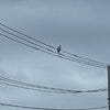 ブログサムネイル