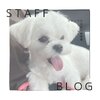 ブログサムネイル