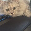 ブログサムネイル