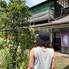 ブログサムネイル