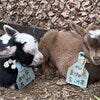 ブログサムネイル