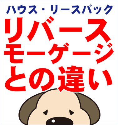 ブログ画像1