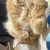 ブログサムネイル