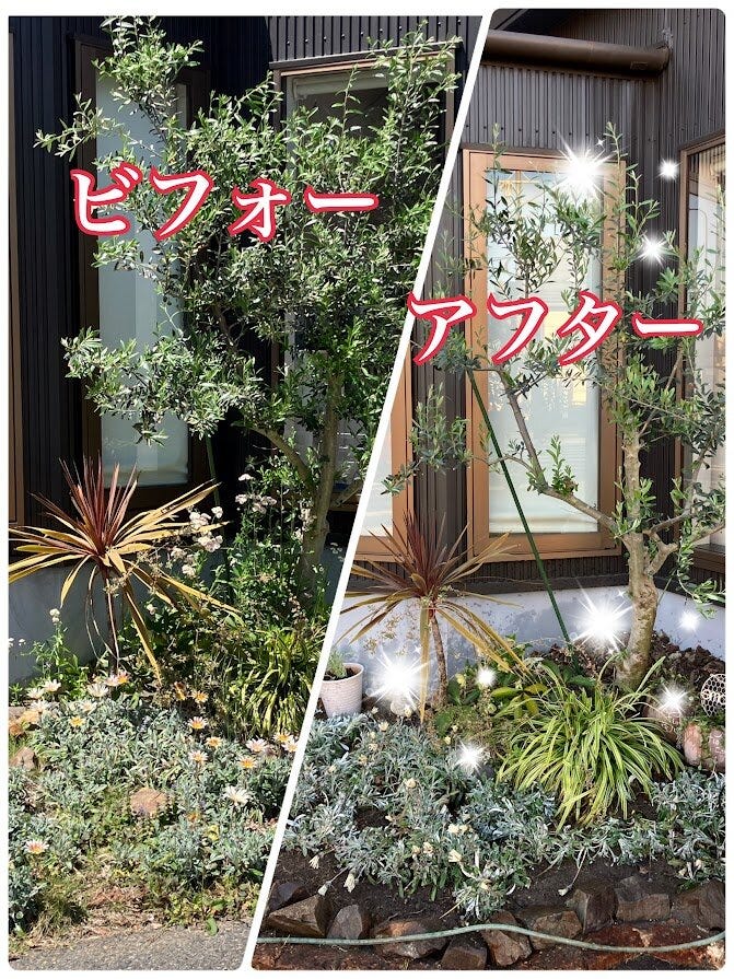 ブログサムネイル
