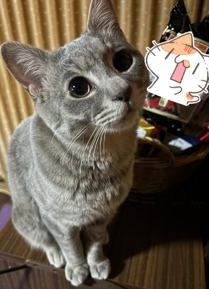 ブログサムネイル