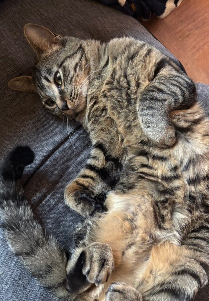 ブログサムネイル