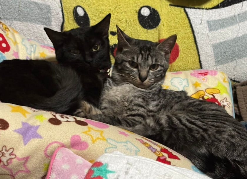 ブログサムネイル