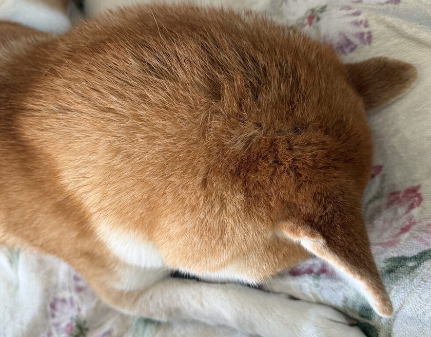 ブログサムネイル