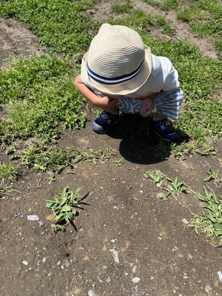 ブログサムネイル