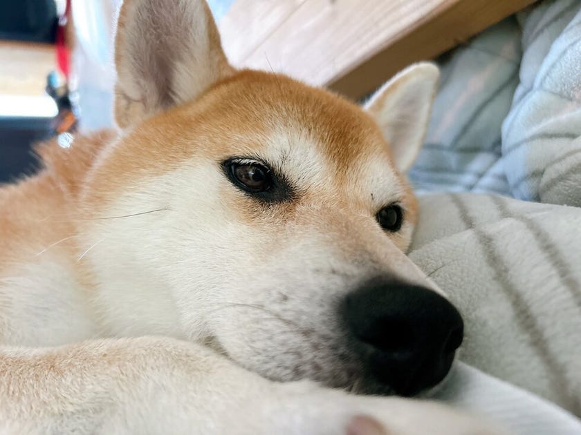 ブログサムネイル