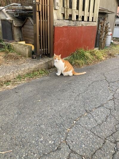 ブログサムネイル