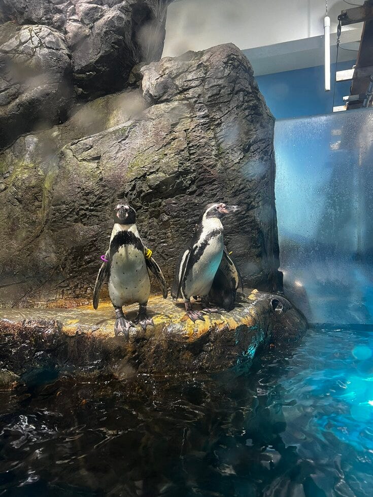 ブログサムネイル