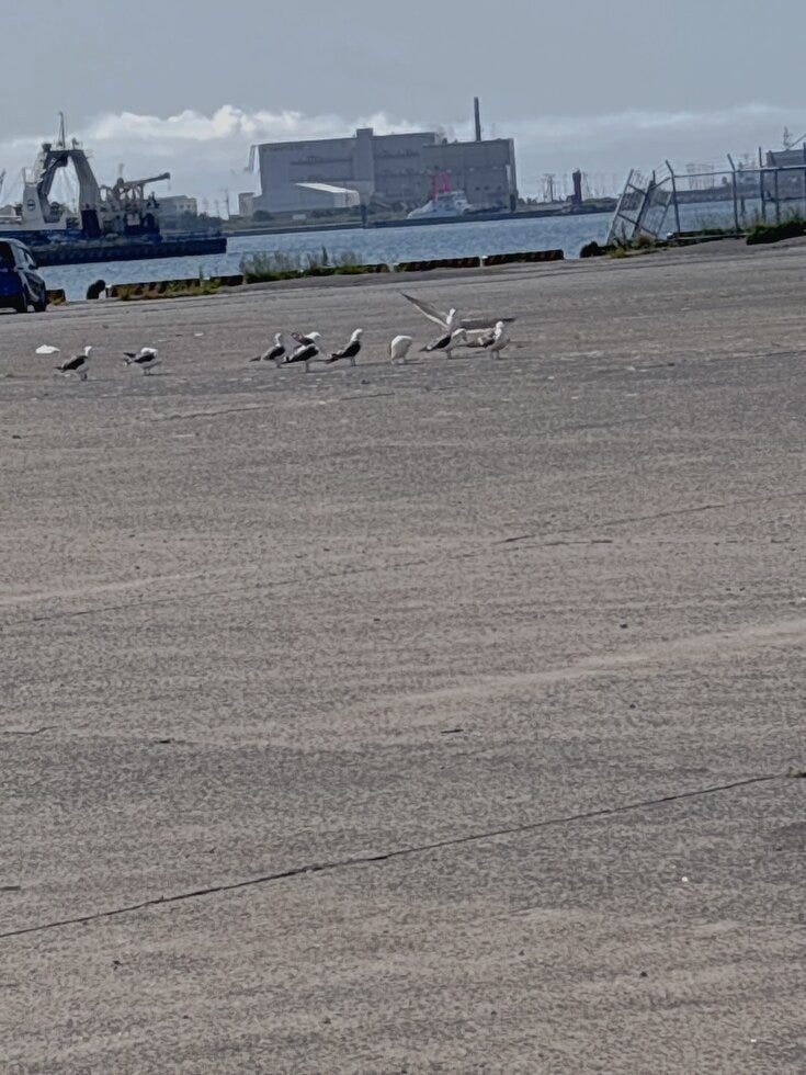 ブログサムネイル