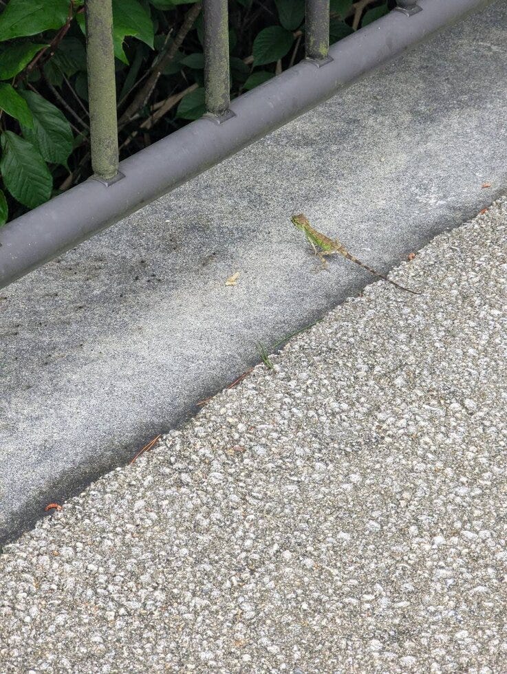 ブログサムネイル