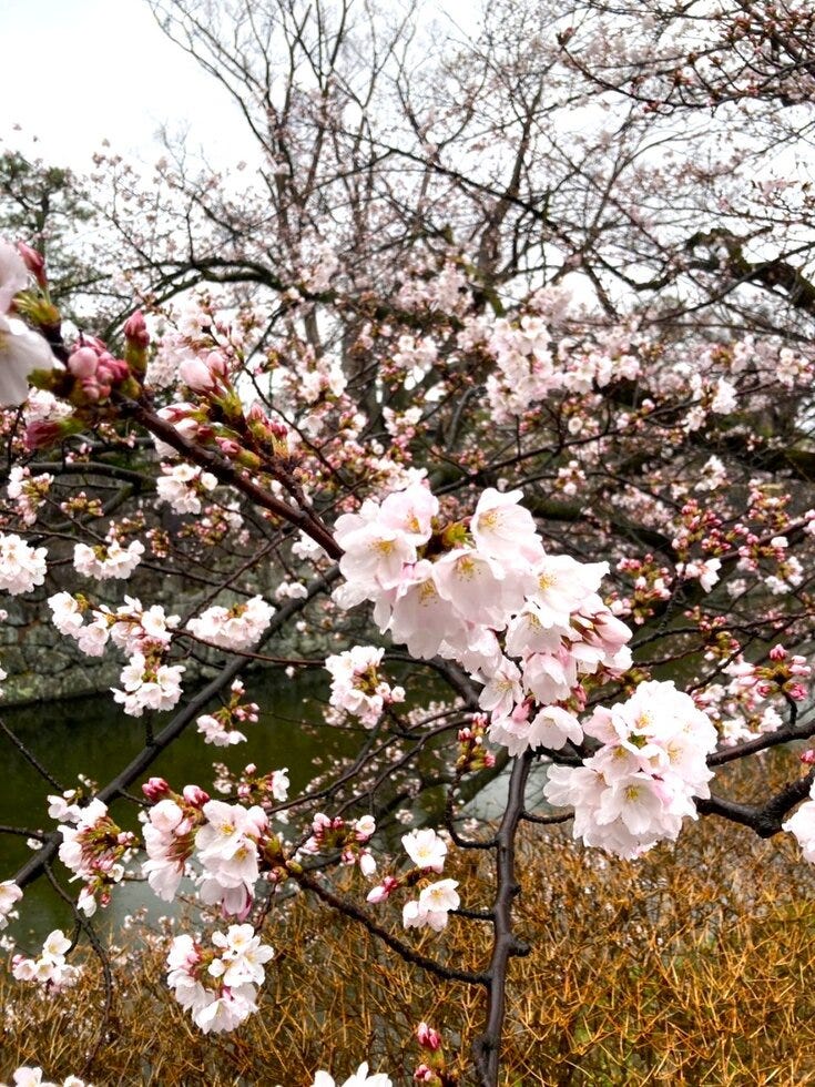 ブログサムネイル