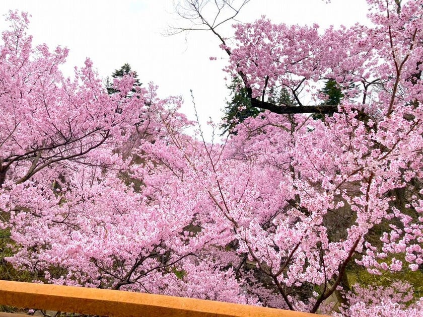 ブログサムネイル