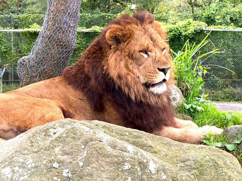 ブログサムネイル